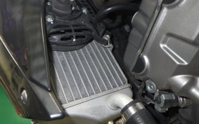 HONDA CRF250M 2022 MD38