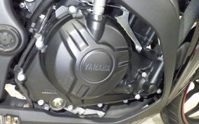 YAMAHA YZF-R25 2022 RG43J