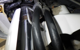 HONDA LEAD 110 2024 JF19