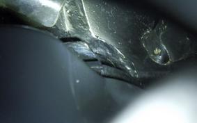 HONDA GYRO CANOPY 2006 TA03