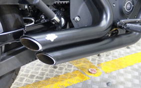 HARLEY XL883R 2009 CS2