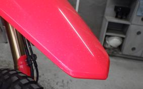 HONDA CRF250L 2009 MD47
