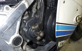 SUZUKI RG250 Gamma