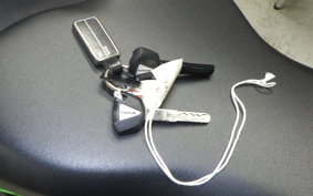 KAWASAKI ZX-4RR 2024 ZX400P