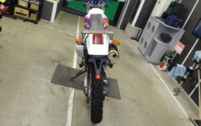 YAMAHA TT250R RAID 4GY