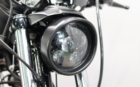 HARLEY XL883N 2017 LE2