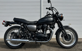 KAWASAKI W800 STREET 2019 EJ800B
