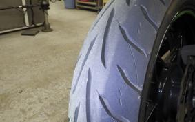 KAWASAKI NINJA 250 2022 EX250Y