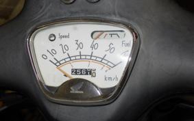 HONDA GIORCUB AF53