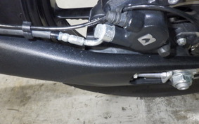 TRIUMPH SCRAMBLER 400X 2024