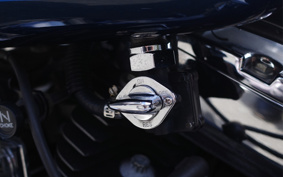 HARLEY FXDL 100th 2002 GDV