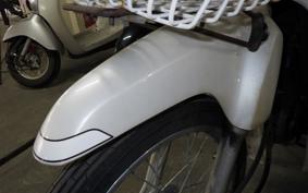 HONDA C110 SUPER CUB 2025 JA10