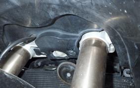 SUZUKI GSX-1300R HAYABUSA 2009