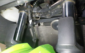 KAWASAKI NINJA 250 ABS 2009 EX250L