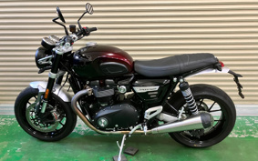 TRIUMPH SPEED TWIN 2024 DAD85H