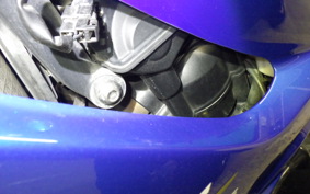 TRIUMPH DAYTONA 675 2010