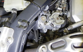 KAWASAKI KLX250D TRACKER X LX250V