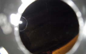 HARLEY FLHRC 1690 2014
