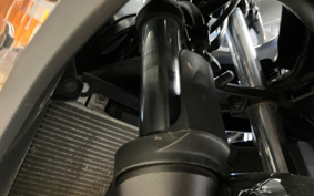 KAWASAKI NINJA 250 ABS SE EX250L