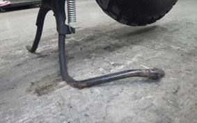 HONDA ZOOMER 2025 AF58