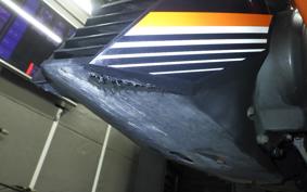 KTM 250 DUKE 2016