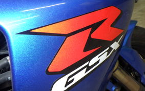 SUZUKI GSX-R1000 2010