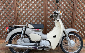 HONDA SUPER CUB50 AA09