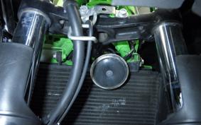 KAWASAKI NINJA 250 SL