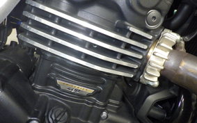 TRIUMPH SPEED400 2024