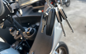 HARLEY FXLRST 2024 YXZ