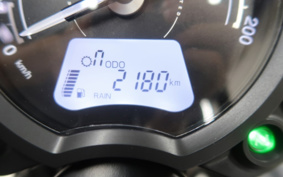 TRIUMPH SPEED TWIN 900 2024 DAD74G