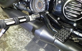 HARLEY XL883N 2015