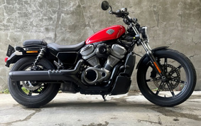 HARLEY  HARLEY RH975 NIGHT  STAR  2024 ZH1