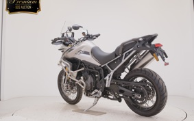 TRIUMPH TIGER 900 RALLY PRO 2023