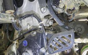 KAWASAKI KX250 F 2021 KX250Y