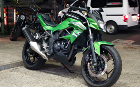 KAWASAKI Z250 SL BR250E