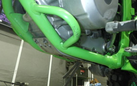 KAWASAKI KLX250 Gen.2 2023 LX250S