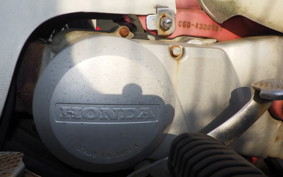 HONDA LITTLE CUB C50