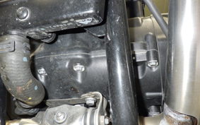 TRIUMPH BONNEVILLE T100 2024