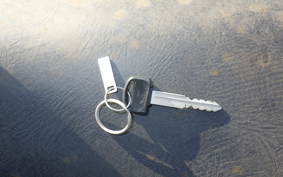 HONDA FORESIGHT EX MF04