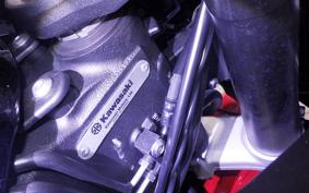 KAWASAKI NINJA 1000SX 2024 ZXT02K