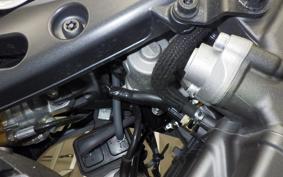 YAMAHA MT-09 SP 2023 RN69J