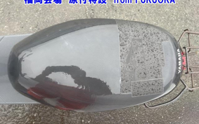 OTHER  JOG  POCHE -2