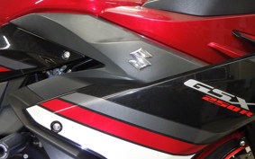 SUZUKI GSX250R 1995