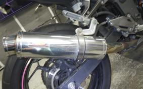 KAWASAKI NINJA 250 2010 EX250L