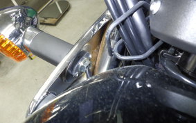 KAWASAKI W800 2025 EJ800E