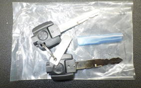 YAMAHA CYGNUSｸﾞﾘﾌｧｽ SEJ4J