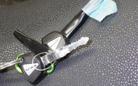 KAWASAKI Z900 Gen.2 2019 ZR900B