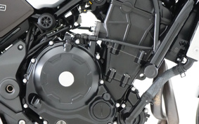 KAWASAKI Z650 RS 50TH 2022 ER650M