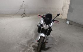 YAMAHA FZ1 FAZER N RN21J